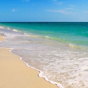 Meet your Posher, Romy